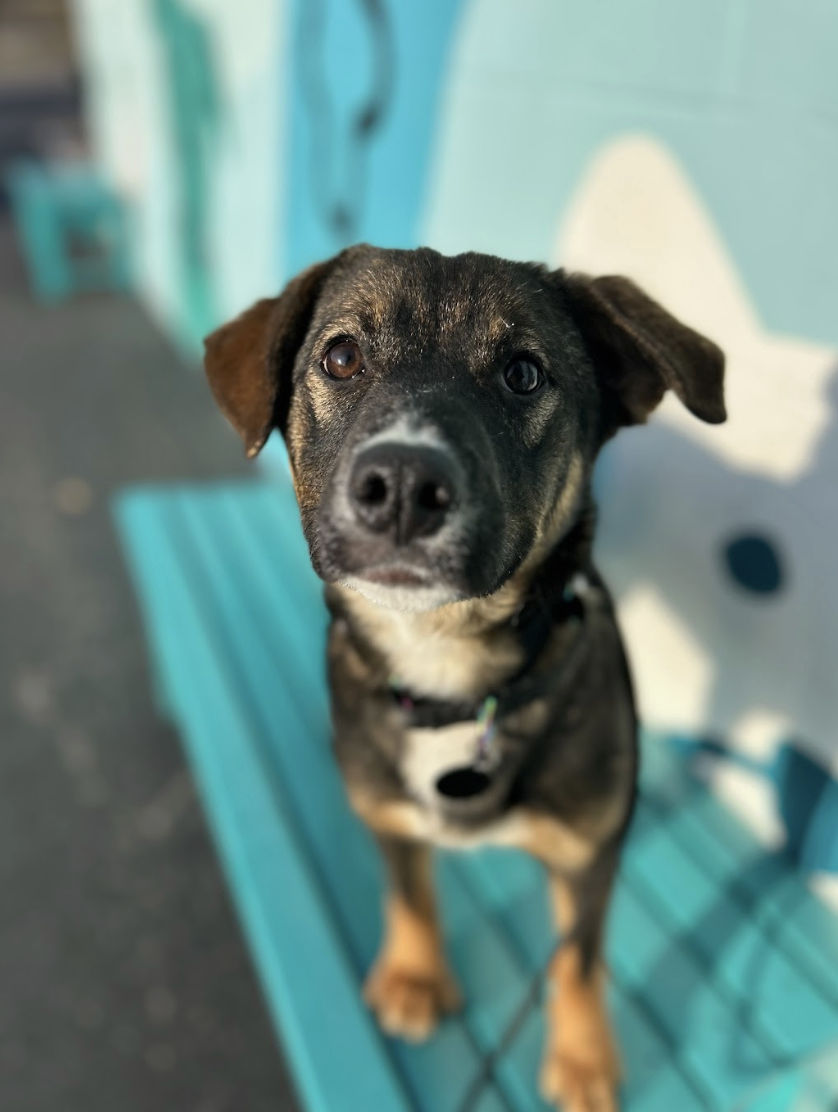 Screenshot 2026-02-25 at 12.50.43 PM.png