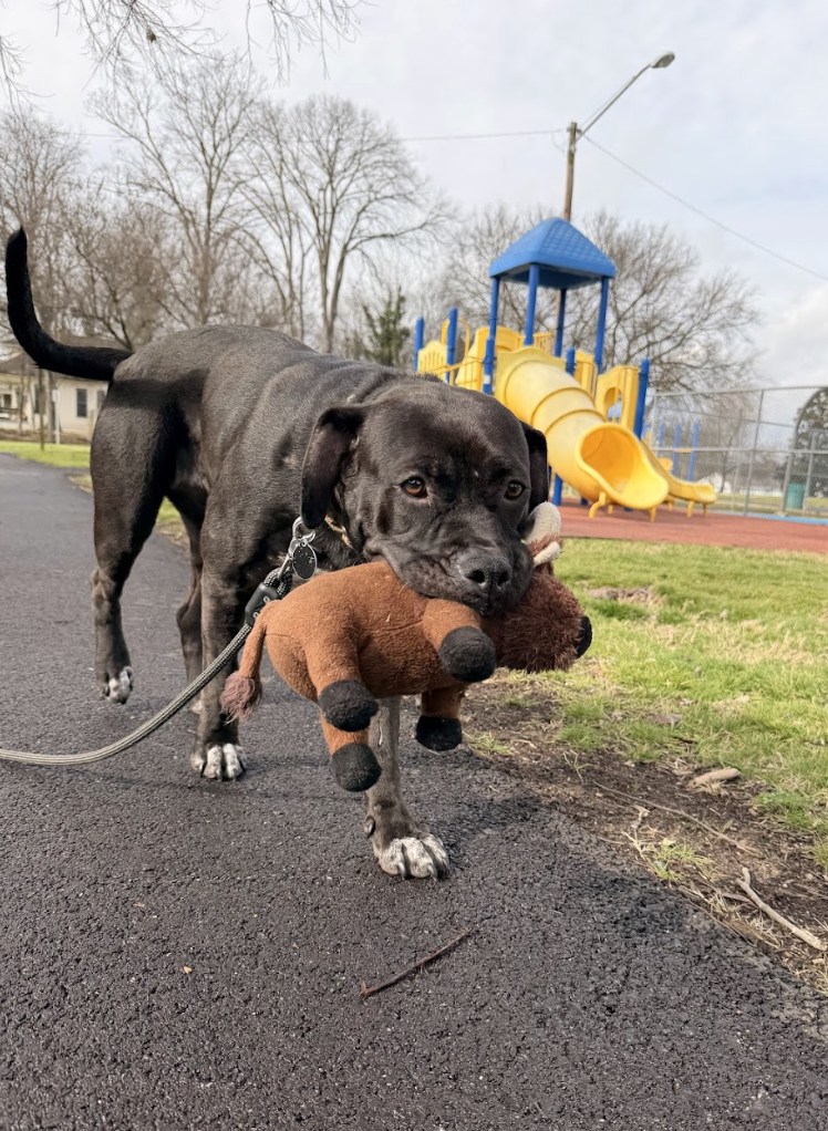 Screenshot 2026-01-14 at 12.25.20 PM.png