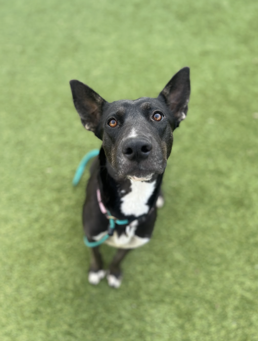 Screenshot 2026-03-17 at 12.19.08 PM.png