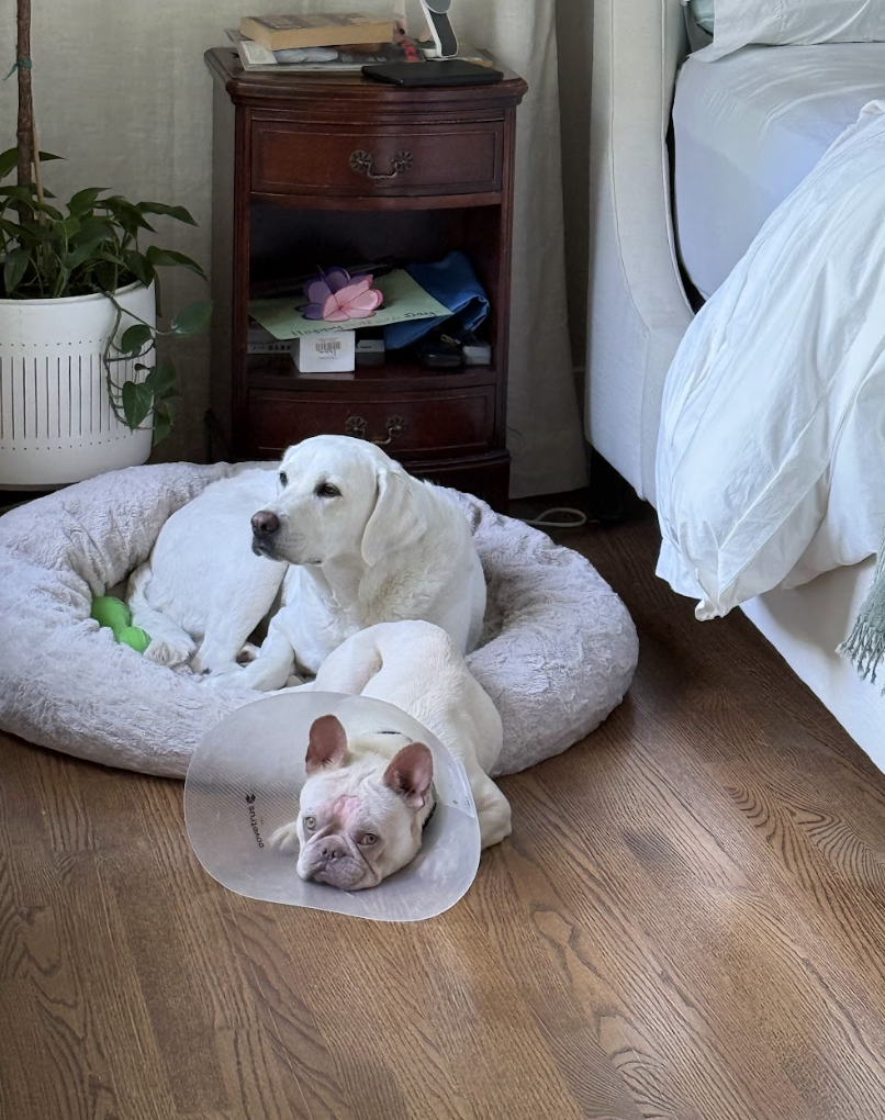 Screenshot 2026-04-28 at 2.14.54 PM.png