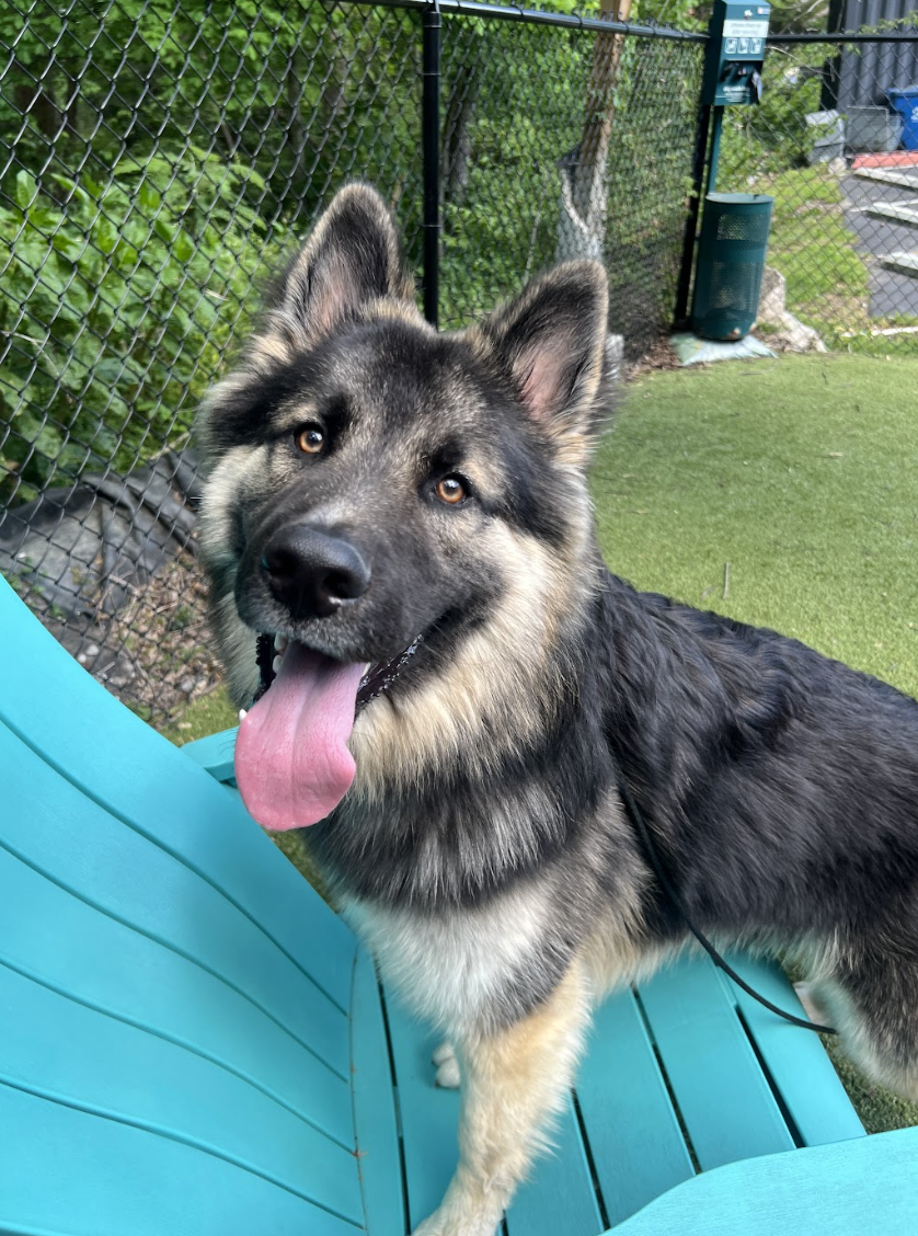 Screenshot 2026-04-23 at 1.44.18 PM.png