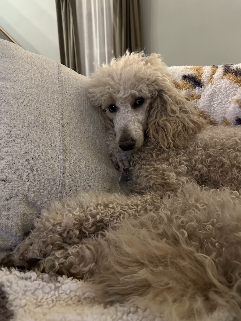 Screenshot 2026-02-26 at 1.35.42 PM.png