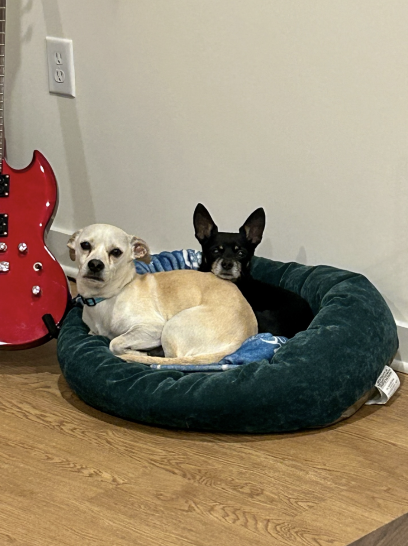 Screenshot 2026-04-22 at 5.12.17 PM.png