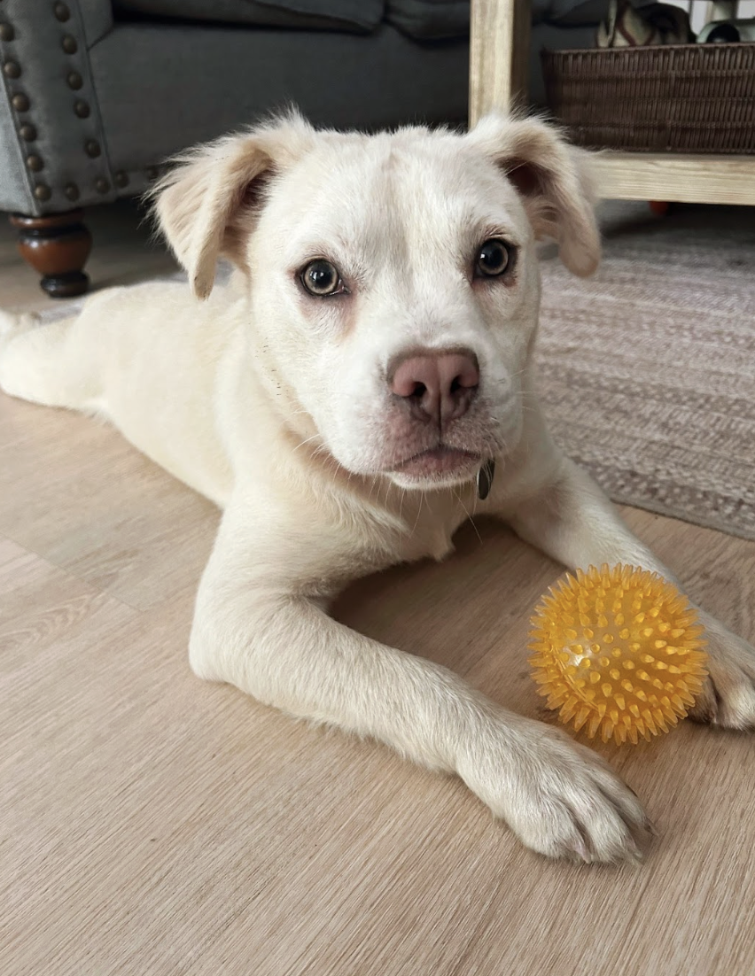 Screenshot 2026-04-22 at 5.44.36 PM.png