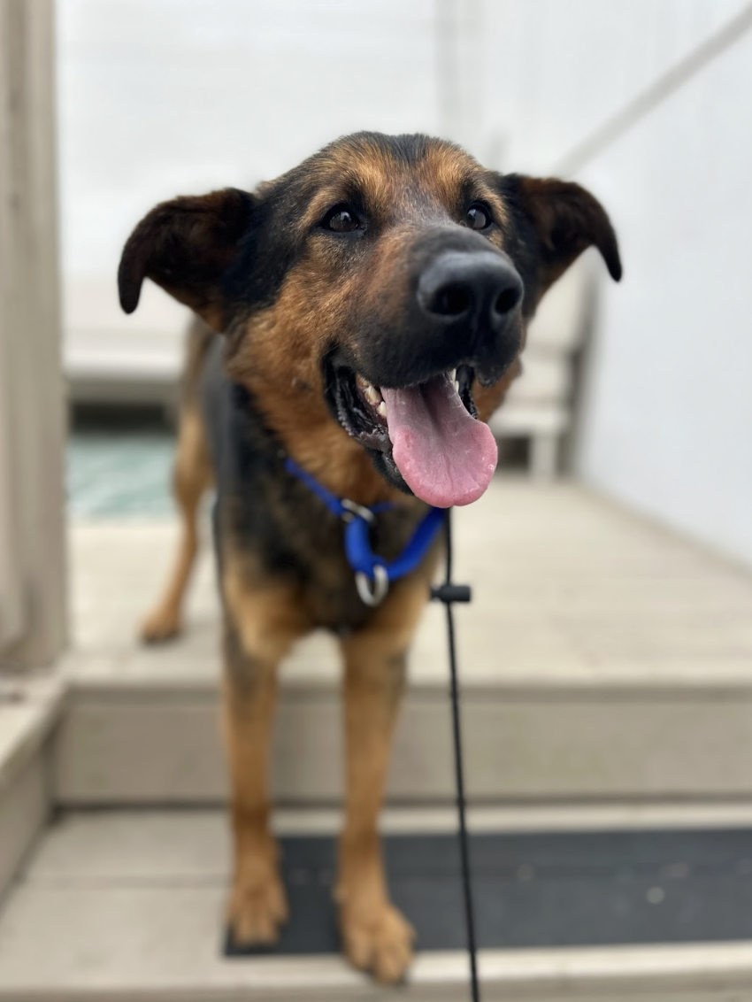 Screenshot 2026-03-26 at 2.24.05 PM.png