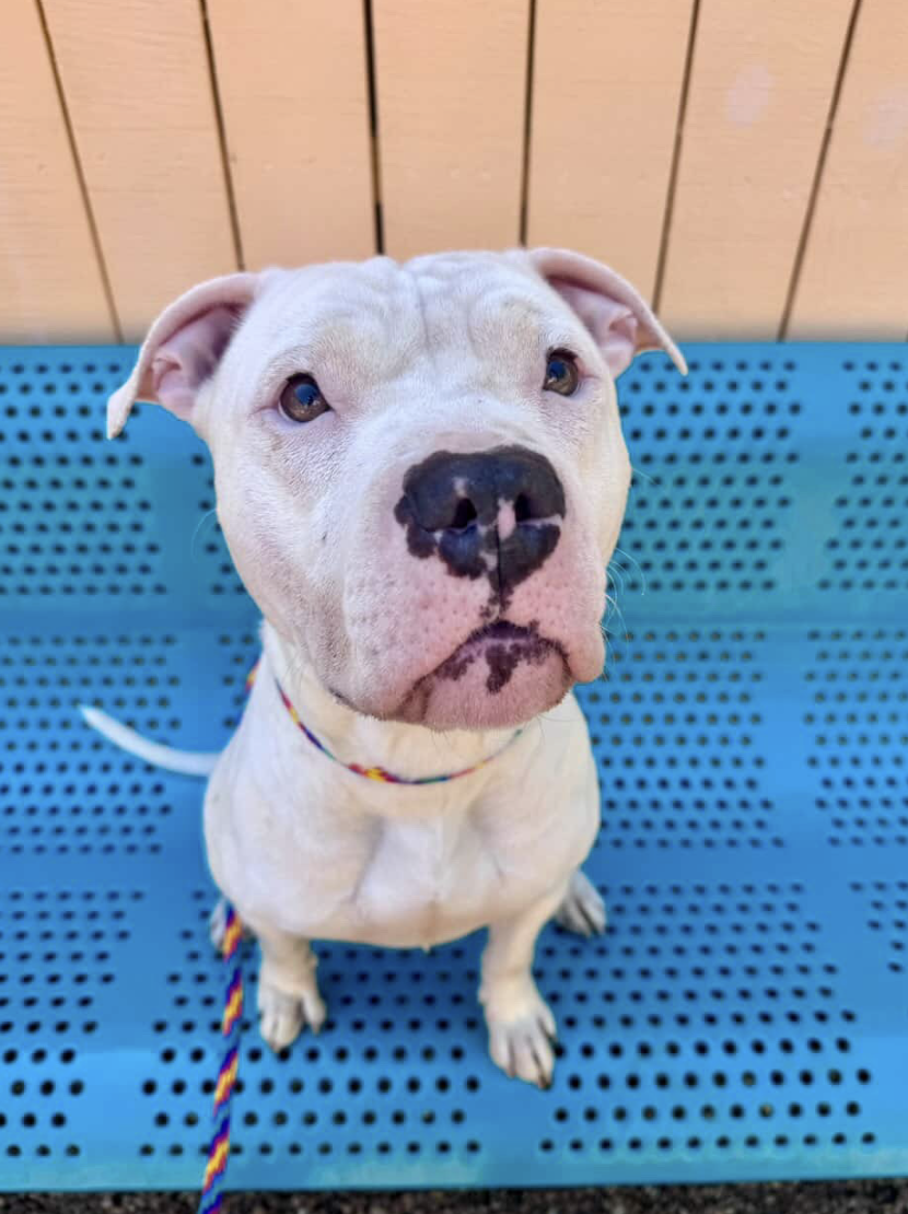 Screenshot 2026-04-23 at 1.39.47 PM.png