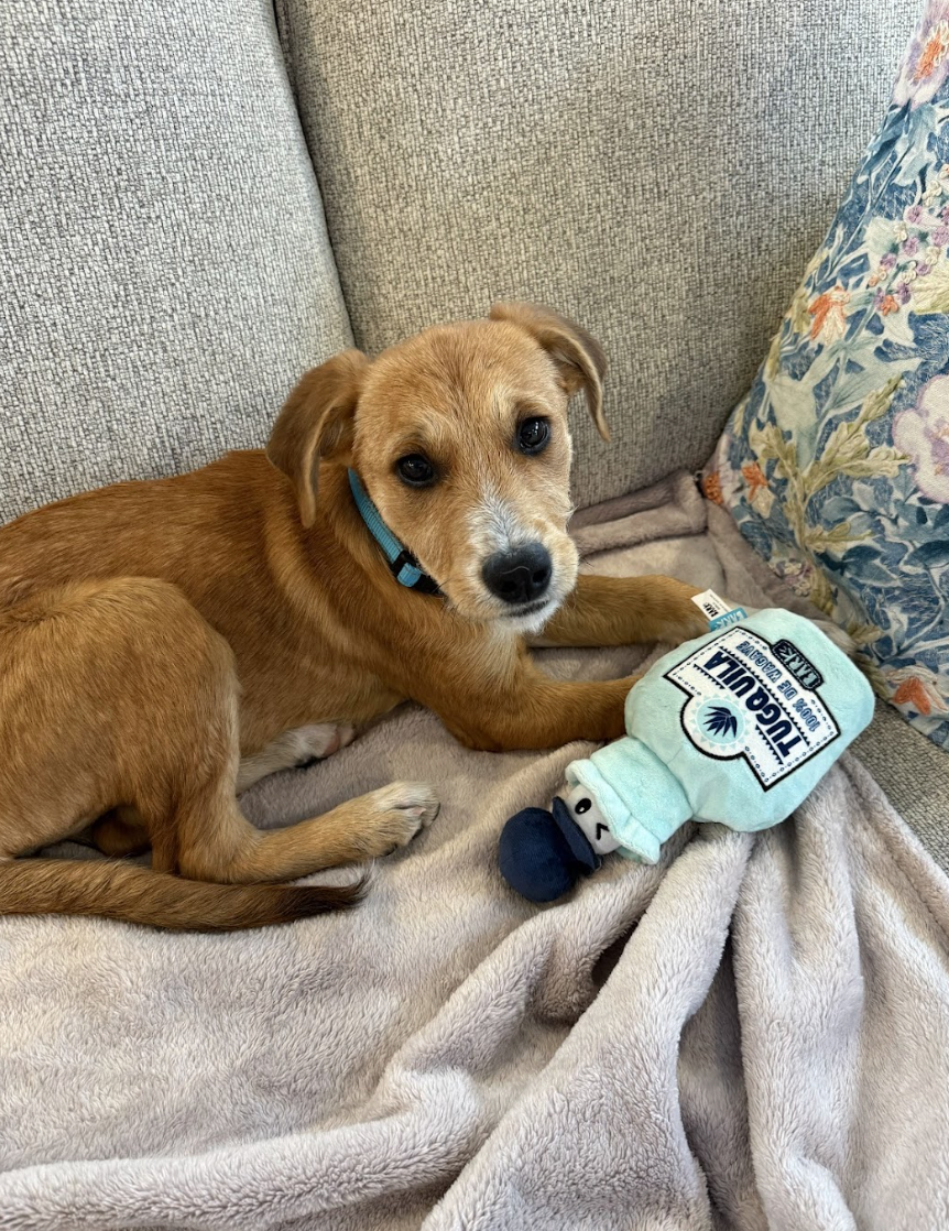 Screenshot 2026-02-27 at 1.04.37 PM.png