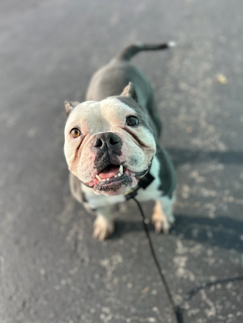 Screenshot 2026-02-25 at 1.03.04 PM.png