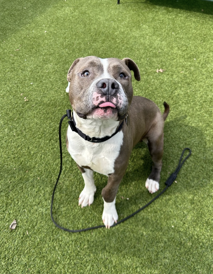 Screenshot 2026-02-12 at 2.14.03 PM.png