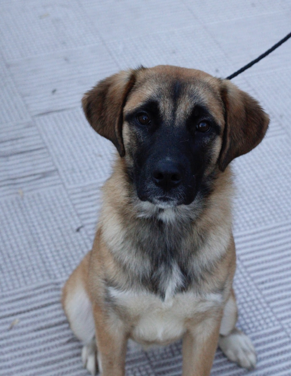 Screenshot 2025-11-15 at 1.12.31 PM.png