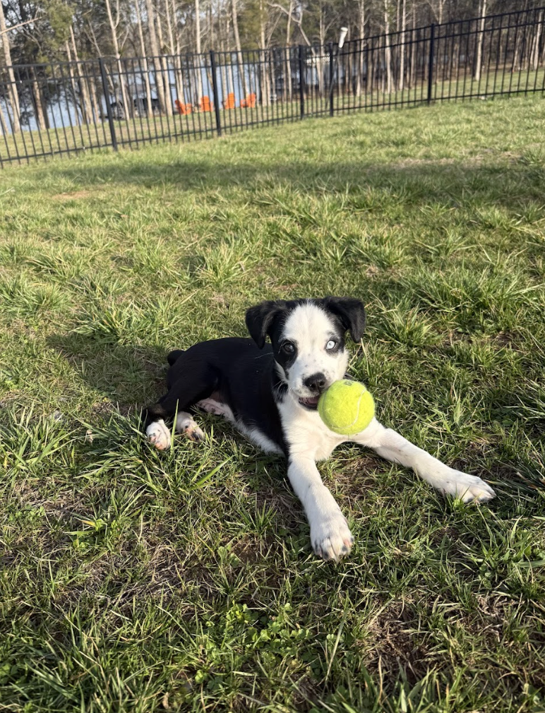 Screenshot 2026-04-03 at 1.42.16 PM.png