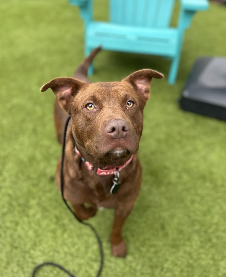 Screenshot 2026-02-05 at 2.21.52 PM.png