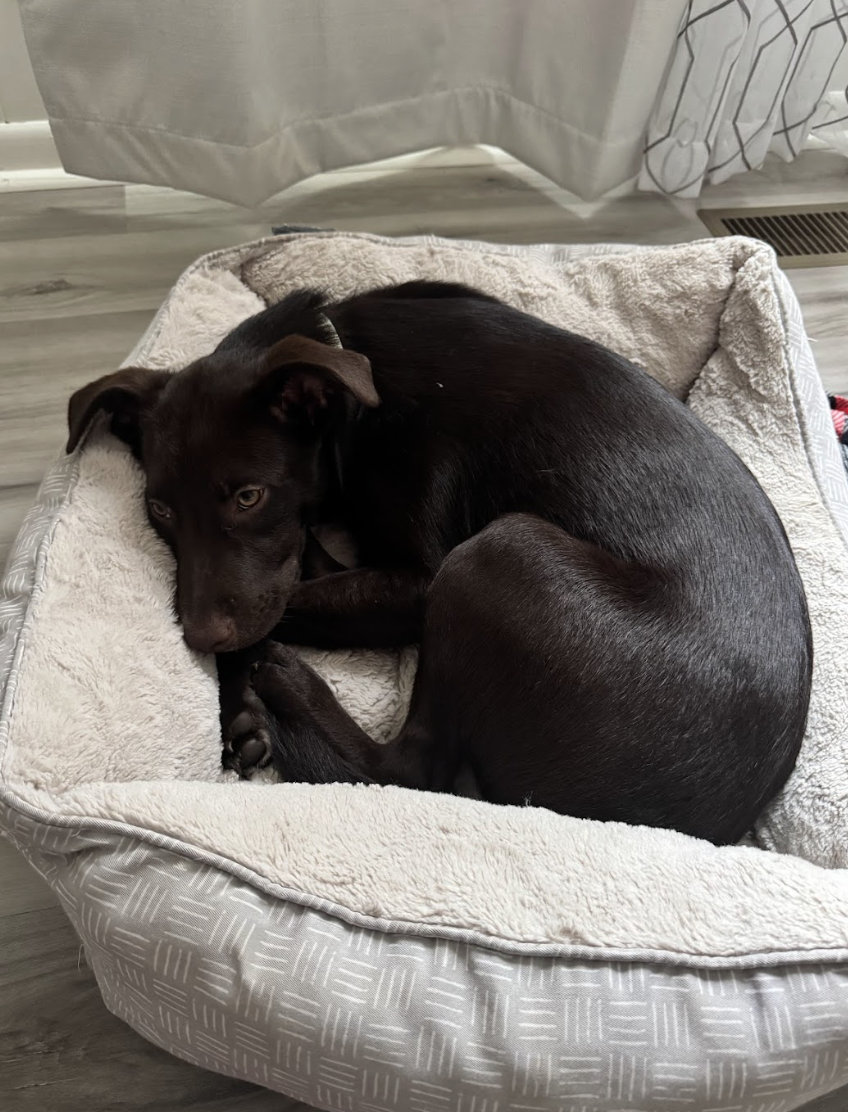 Screenshot 2026-04-23 at 7.50.14 PM.png