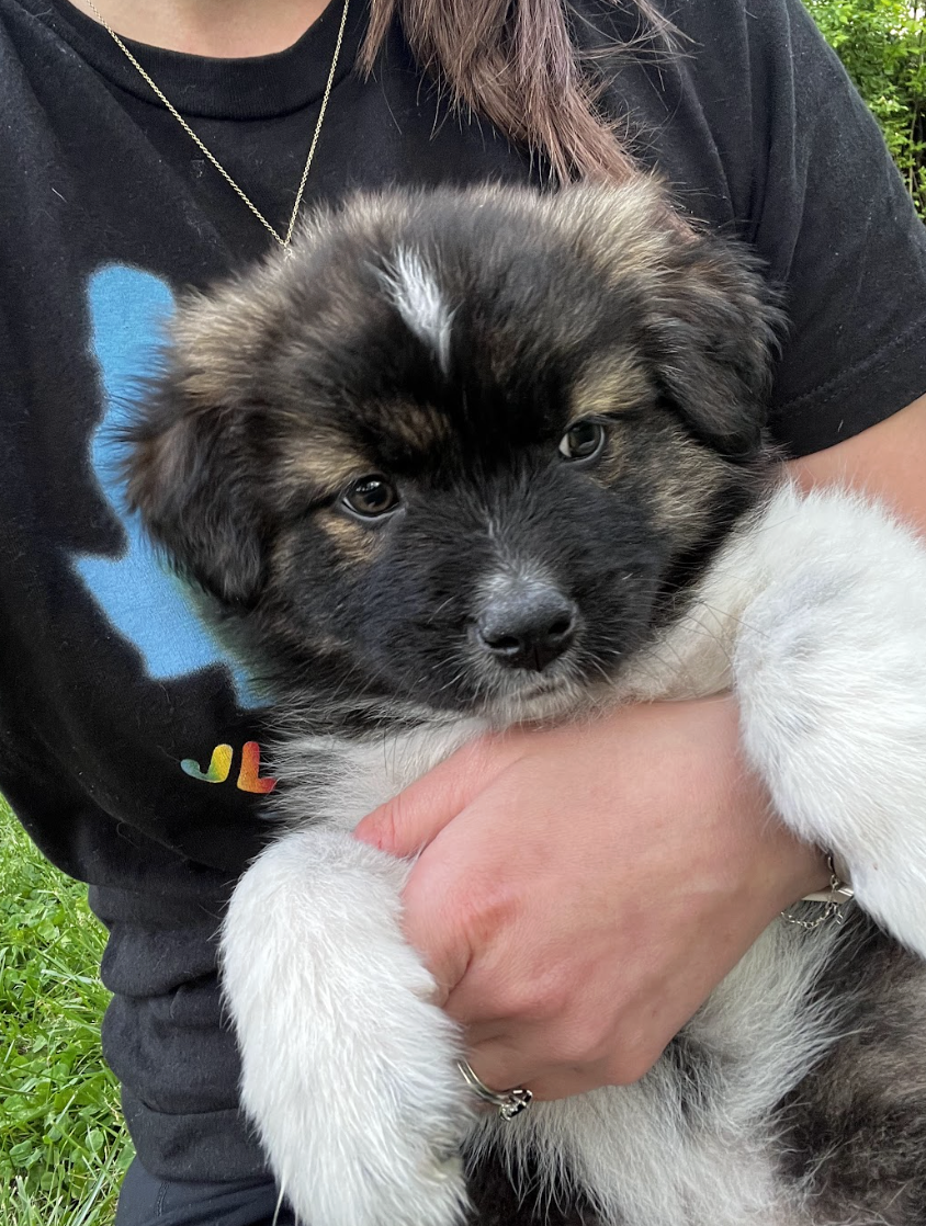 Screenshot 2026-04-13 at 2.45.52 PM.png