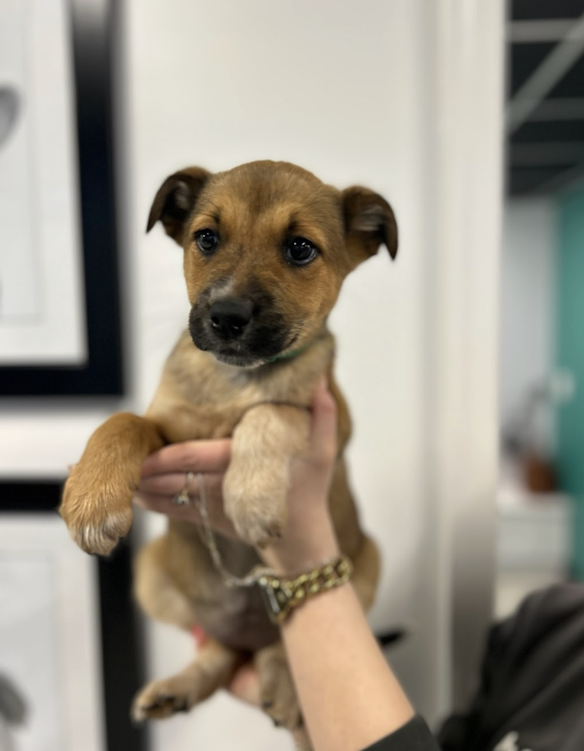 Screenshot 2026-02-19 at 7.05.40 PM.png