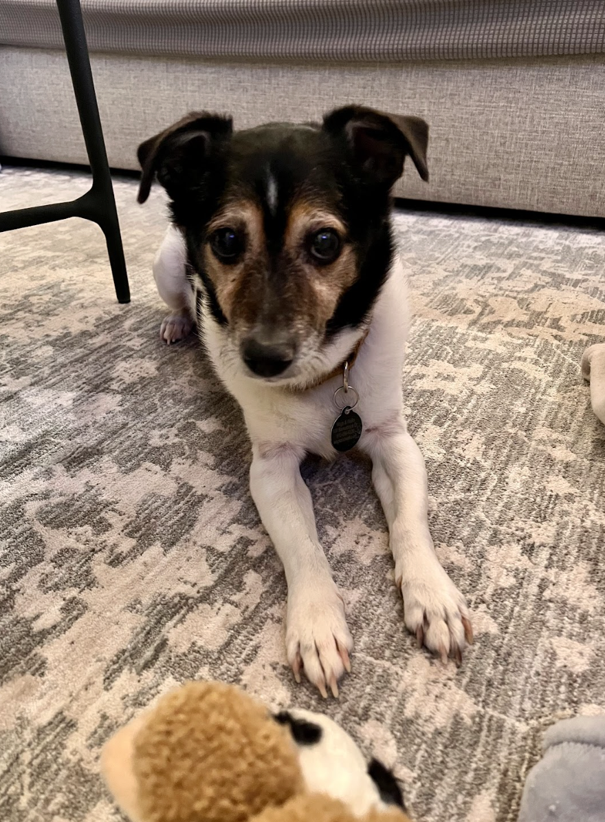 Screenshot 2026-01-14 at 9.32.50 PM.png