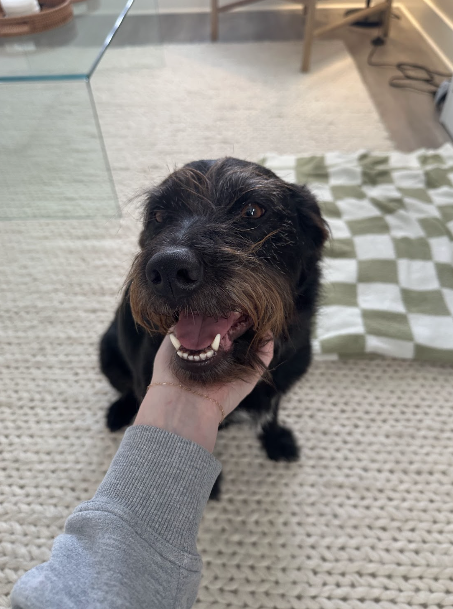 Screenshot 2026-02-07 at 8.22.58 AM.png