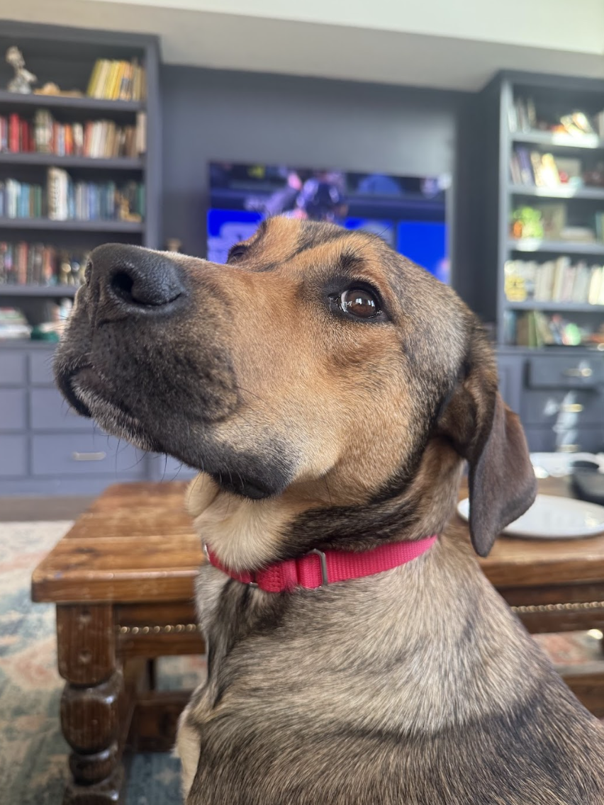 Screenshot 2026-04-22 at 4.23.39 PM.png