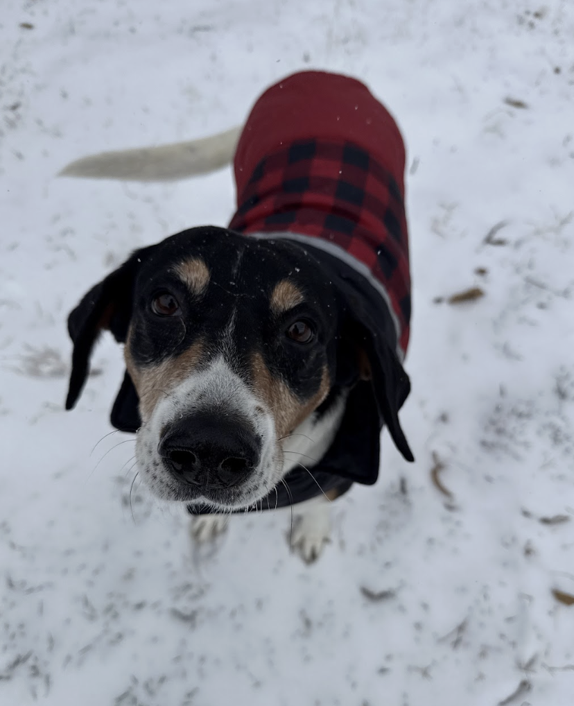 Screenshot 2026-02-26 at 2.16.28 PM.png