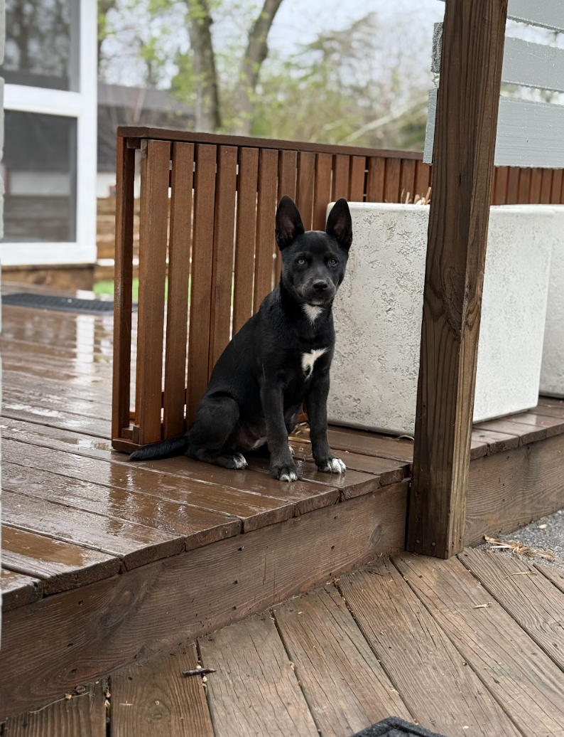 Screenshot 2026-03-12 at 3.33.17 PM.png