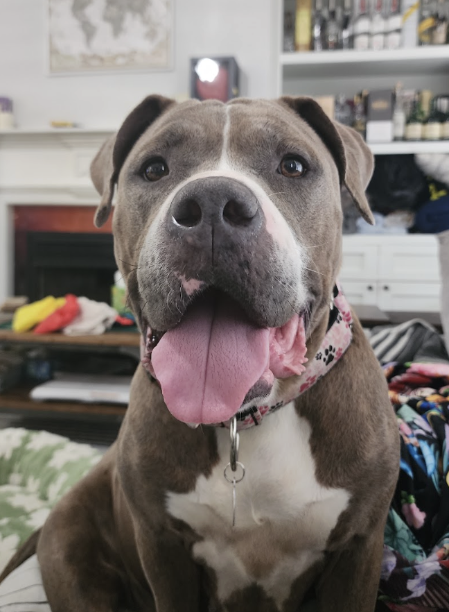 Screenshot 2026-04-13 at 3.02.21 PM.png