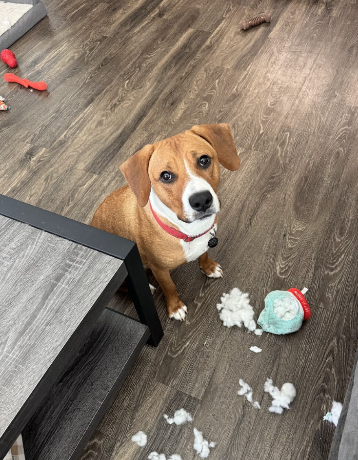 Screenshot 2026-03-20 at 4.10.47 PM.png