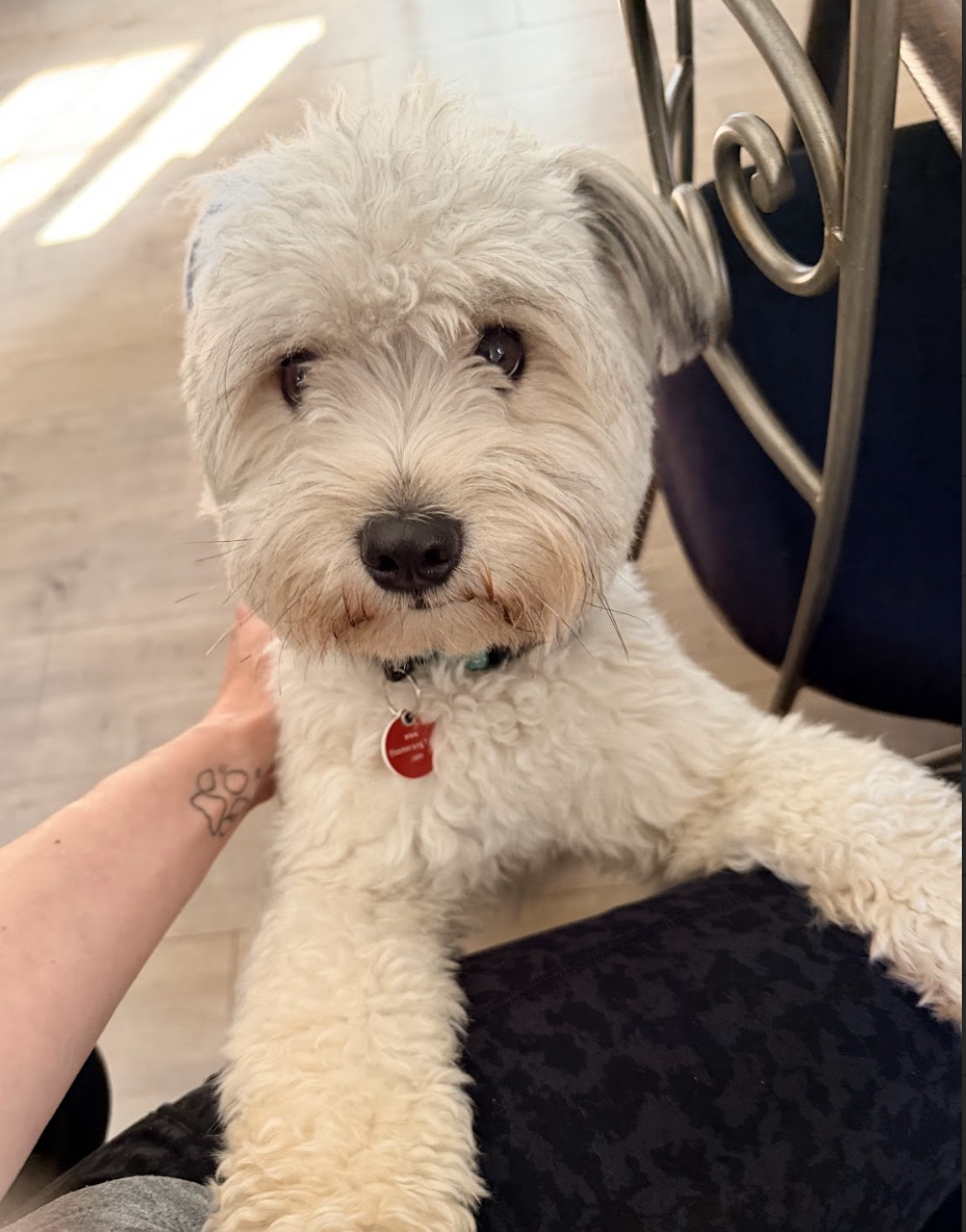 Screenshot 2026-01-09 at 11.50.31 AM.png