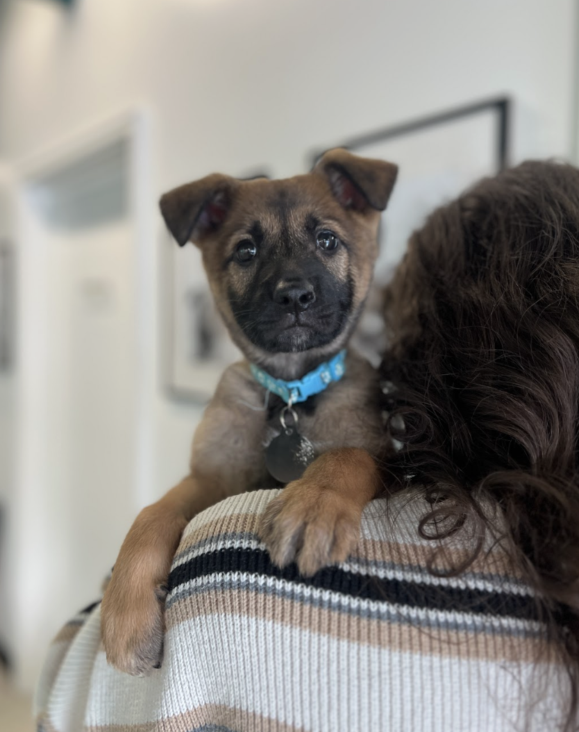 Screenshot 2026-02-12 at 4.41.10 PM.png