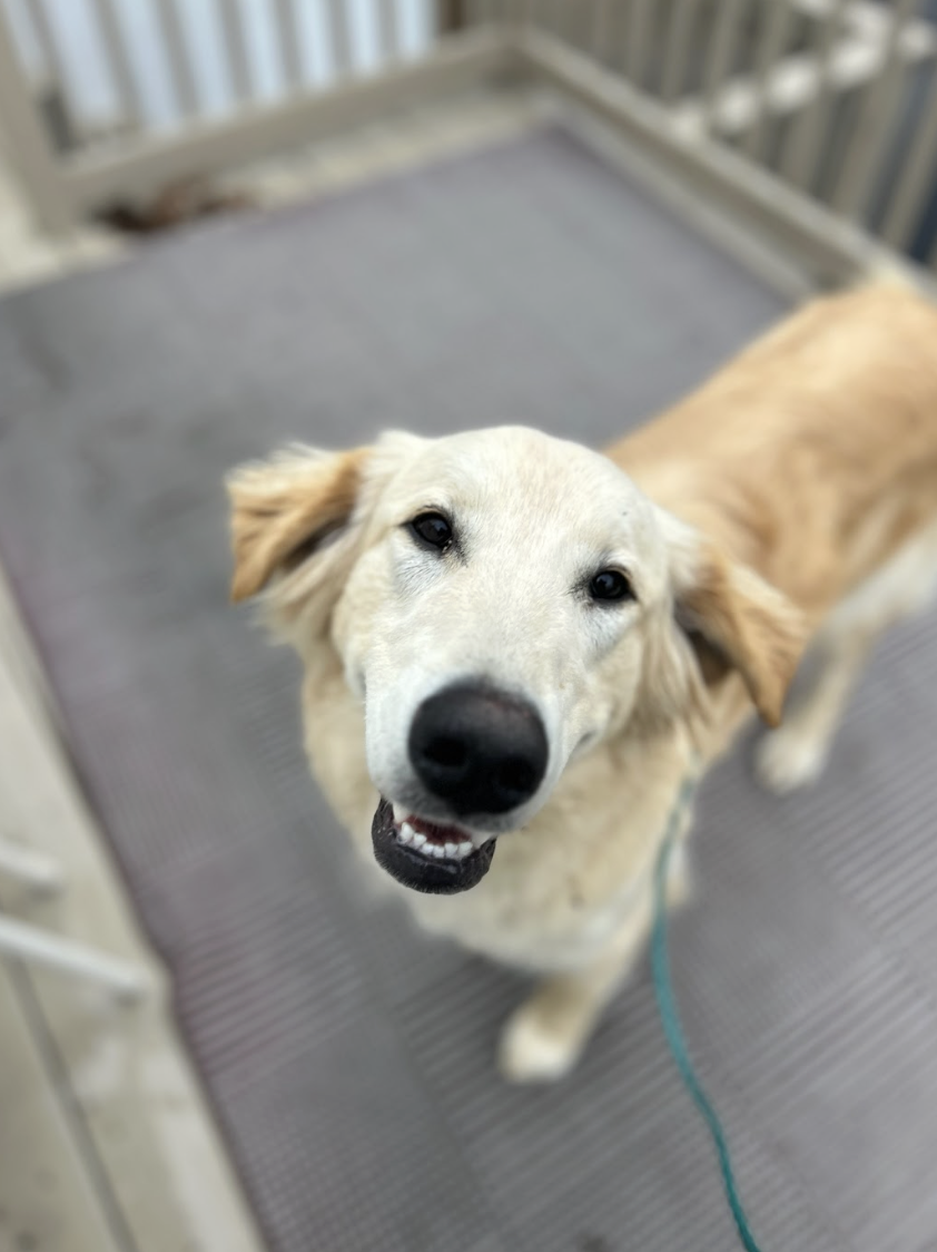 Screenshot 2025-12-18 at 4.27.46 PM.png