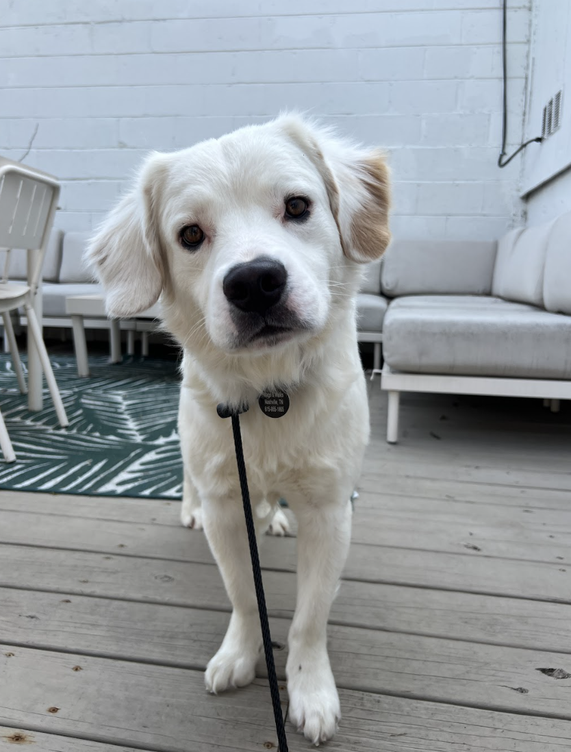 Screenshot 2026-03-26 at 2.47.27 PM.png