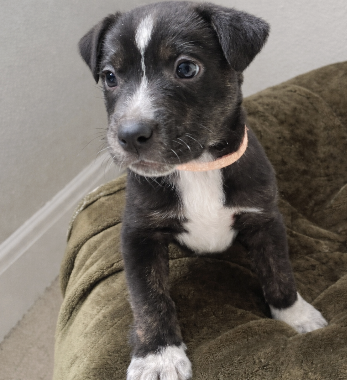 Screenshot 2025-12-20 at 12.56.07 PM.png