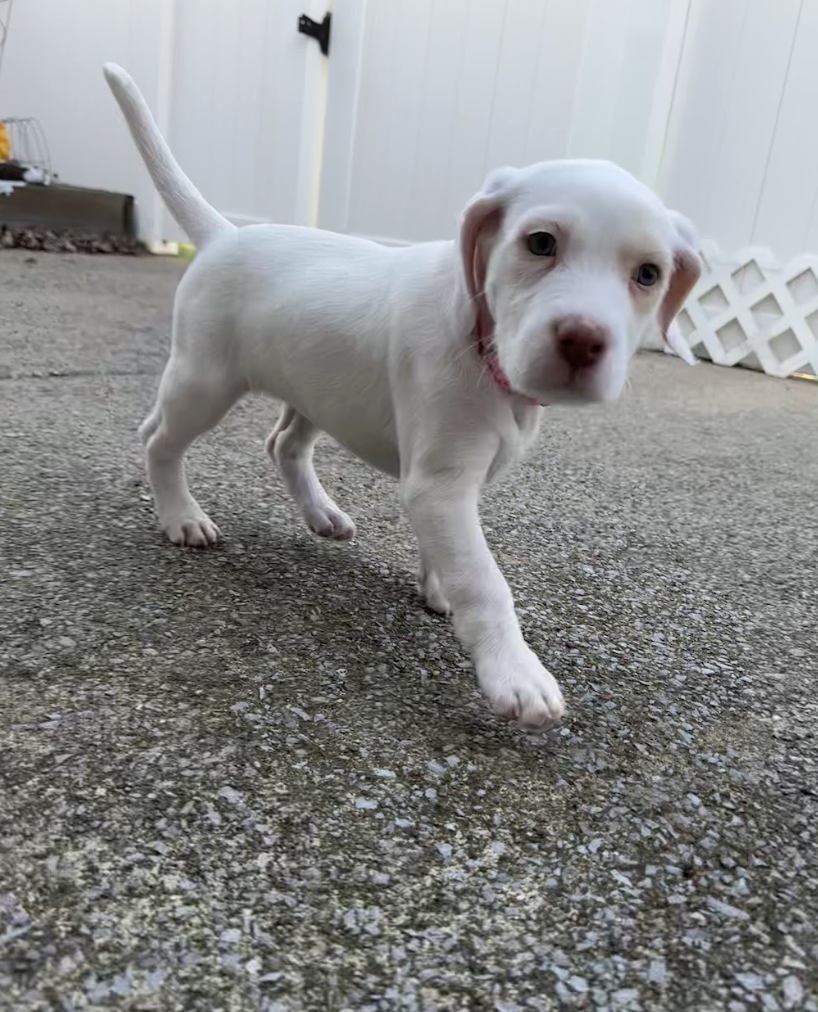 Screenshot 2026-03-10 at 8.52.45 PM.png