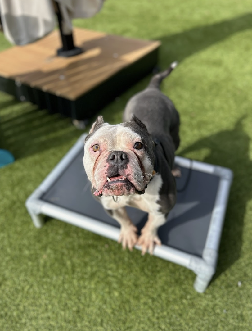 Screenshot 2026-02-25 at 1.03.21 PM.png