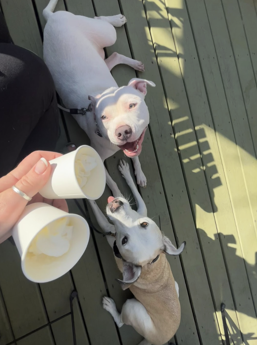 Screenshot 2025-12-16 at 2.58.04 PM.png