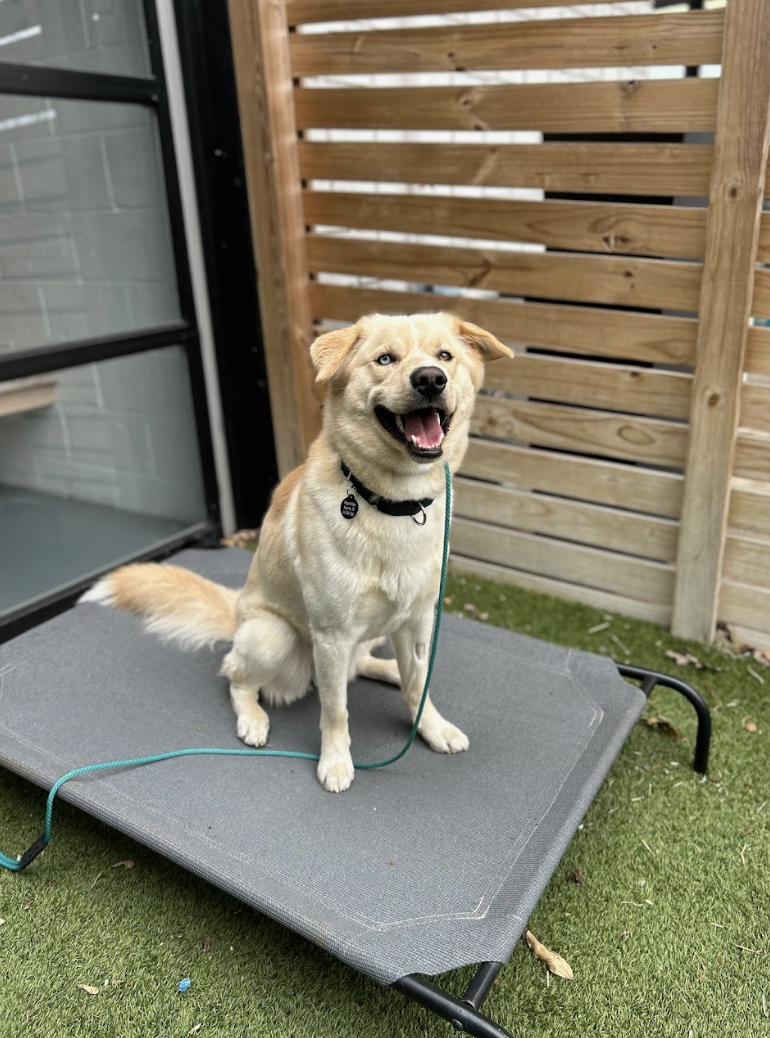 Screenshot 2026-04-22 at 5.22.15 PM.png