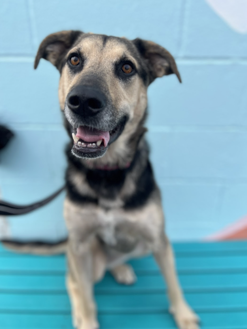 Screenshot 2026-04-14 at 7.26.03 PM.png