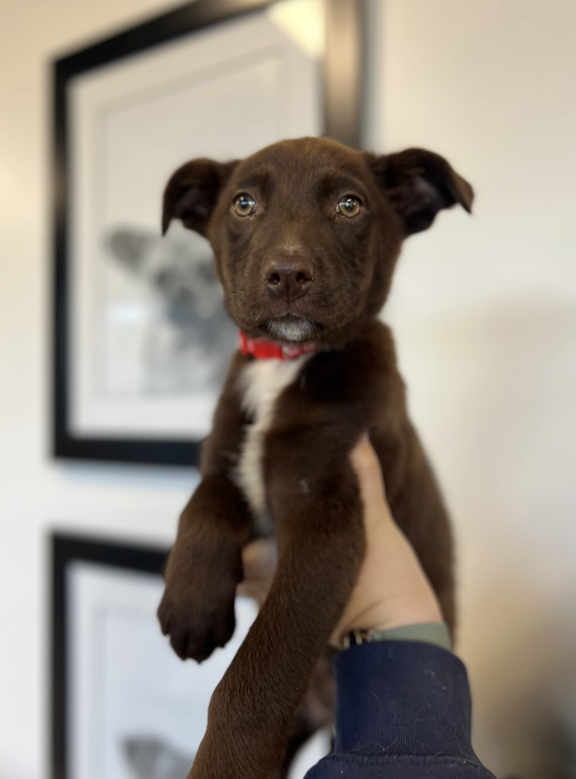 Screenshot 2026-02-05 at 1.55.15 PM.png