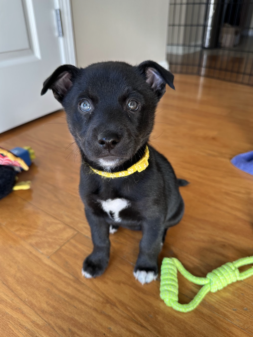 Screenshot 2026-01-15 at 7.50.21 PM.png