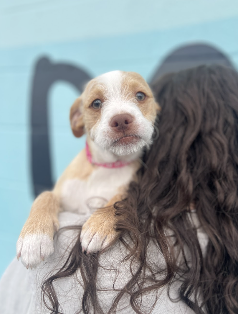 Screenshot 2026-03-05 at 2.36.24 PM.png