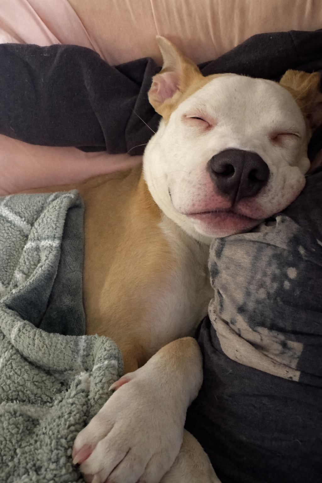 ChatGPT Image Jan 13, 2026, 12_47_59 PM.png