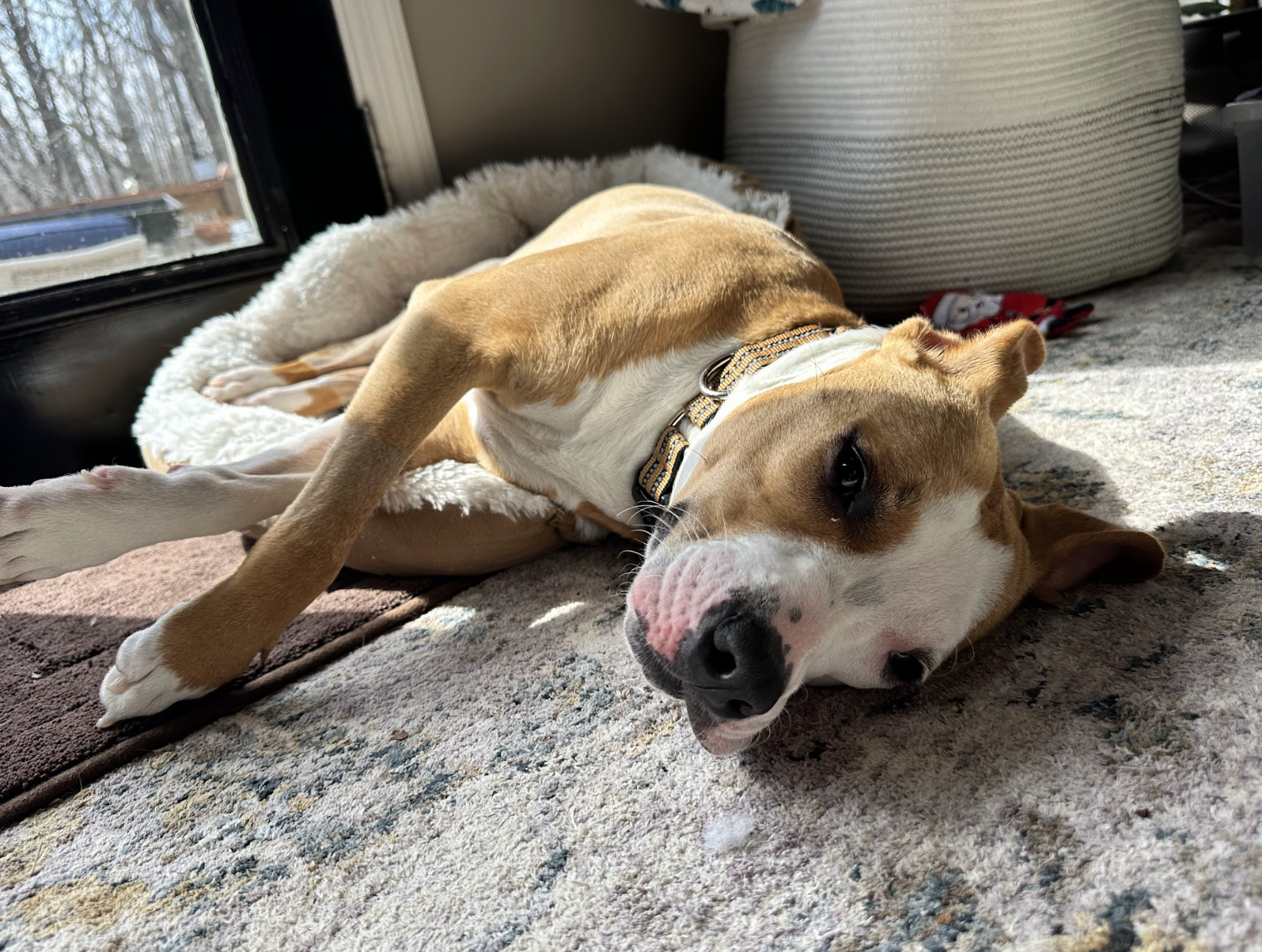 Screenshot 2026-03-06 at 2.37.24 PM.png