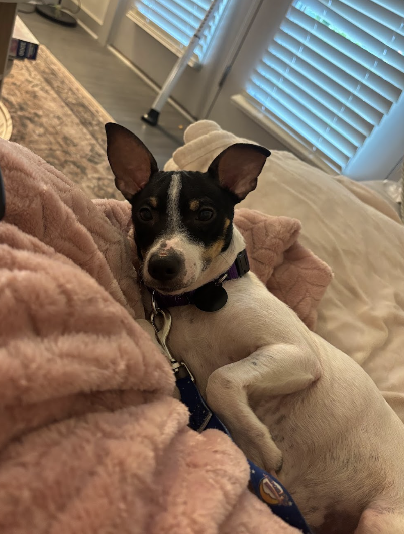 Screenshot 2026-04-21 at 1.49.10 PM.png