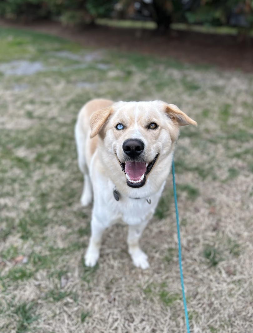 Screenshot 2026-04-22 at 5.22.09 PM.png