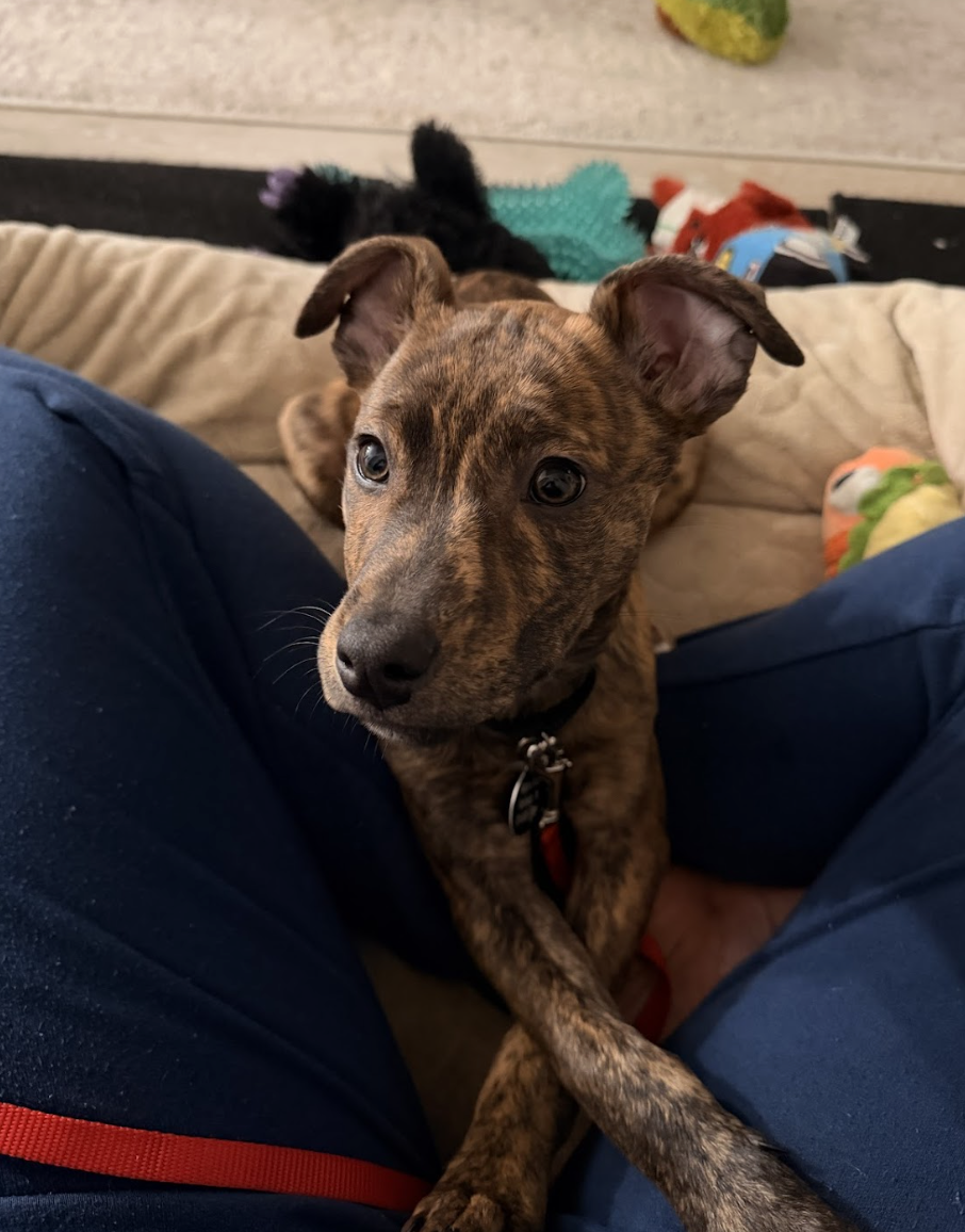 Screenshot 2026-01-14 at 9.22.45 PM.png