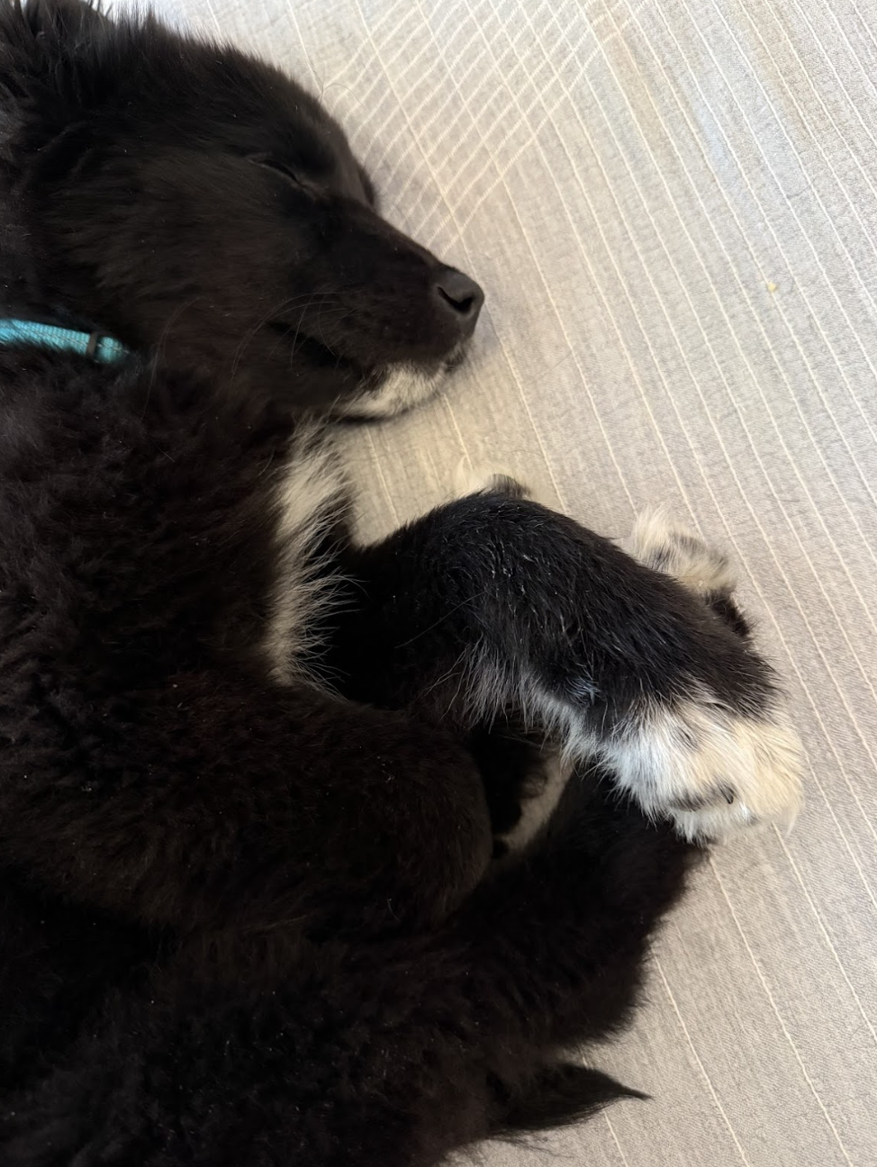 Screenshot 2026-01-26 at 12.34.18 PM.png