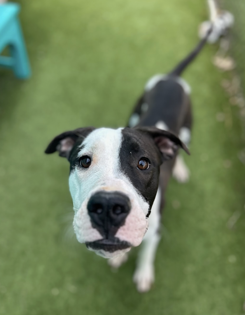 Screenshot 2026-02-12 at 2.56.23 PM.png