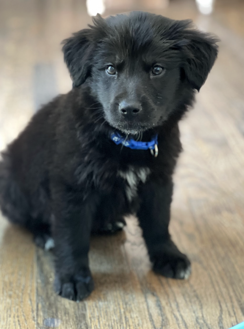 Screenshot 2026-04-16 at 5.00.55 PM.png