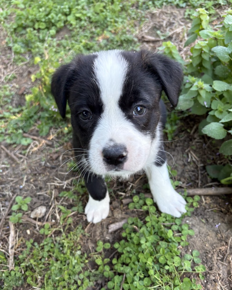 Screenshot 2026-03-27 at 8.00.43 PM.png