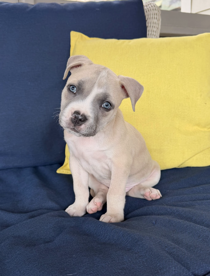 Screenshot 2026-03-14 at 1.34.07 PM.png