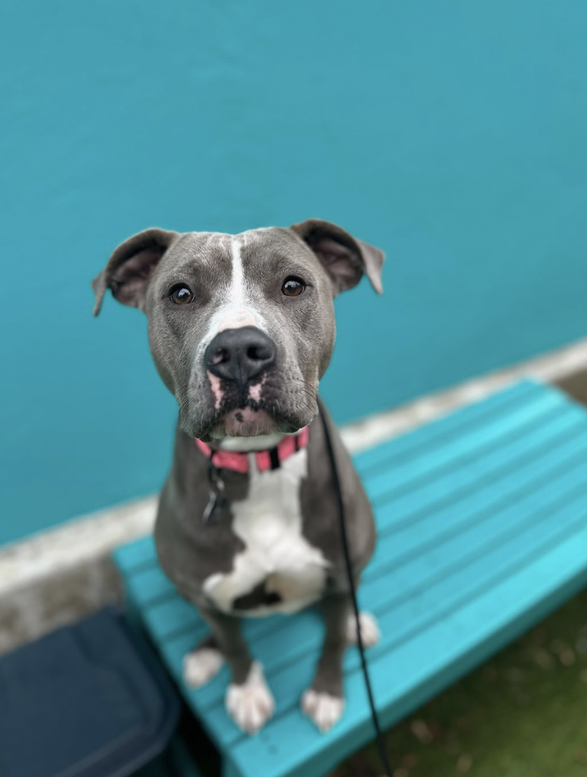 Screenshot 2025-12-18 at 1.53.19 PM.png